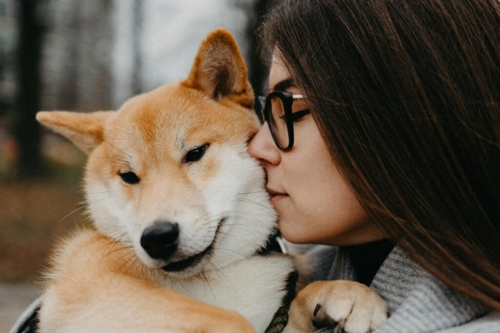 choosing the right pet – avoid mistakes