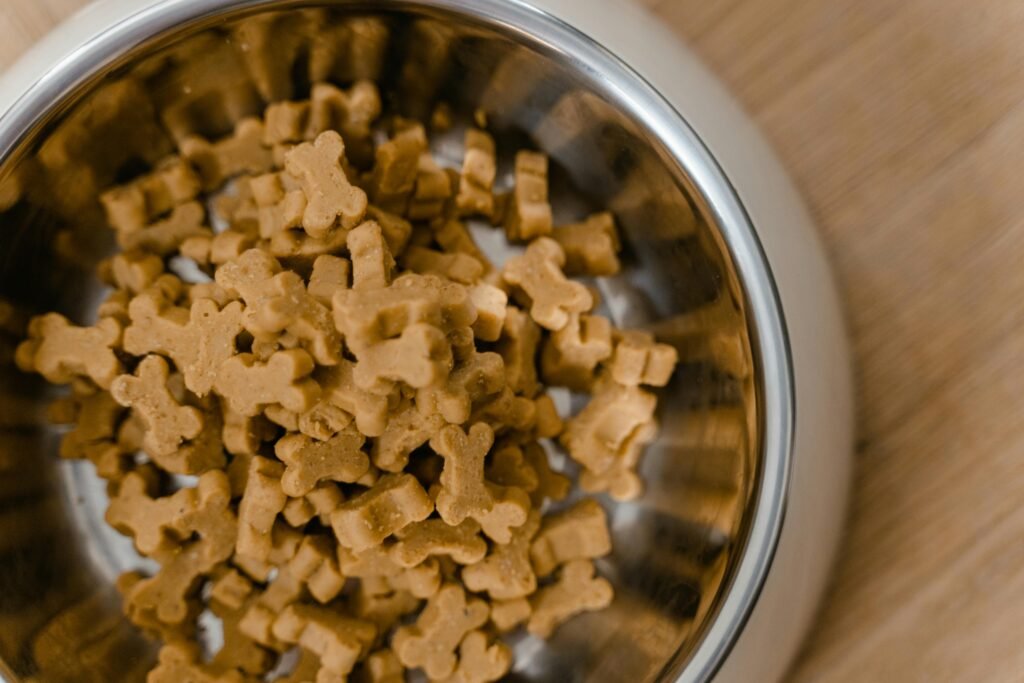 new pet owner mistakes – wrong pet diet