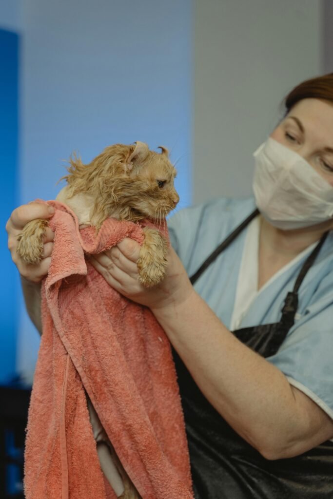 new pet owner mistakes – skipping vet visits