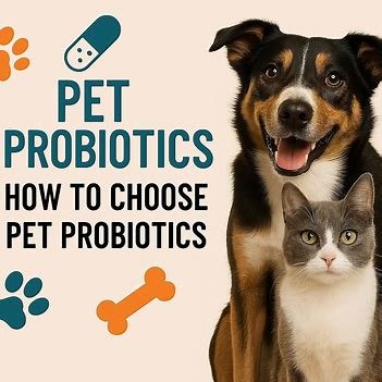 Guide on selecting the right probiotics for pets, featuring tips and key factors to consider for pet health
