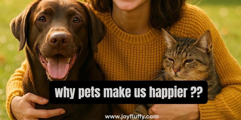 Image illustrating the joy pets bring, showcasing happy moments between people and their furry companions.