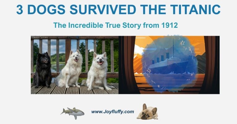 Three dogs survived the Titanic sinking in 1912 showing Pomeranian and Pekingese breeds with Titanic ship in background