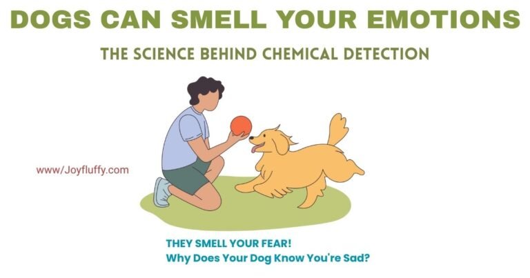 Dog smelling human emotions through chemical changes showing scent receptors and chemosignals illustration