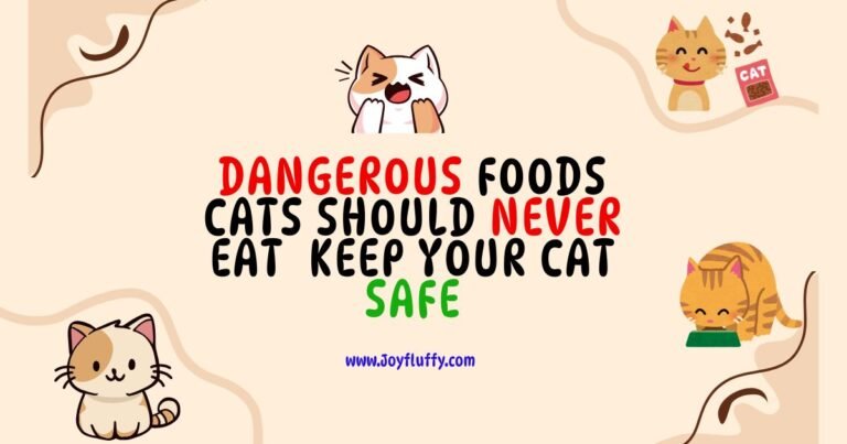 Visual guide listing foods harmful to cats, emphasizing safety tips to protect your pet from dangerous snacks.