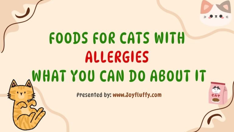Image of cat food options for cats with allergies, highlighting solutions and dietary tips for pet owners