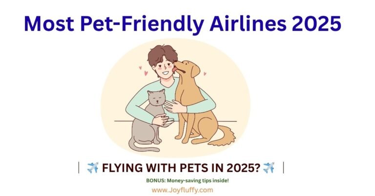 Infographic titled "Most Pet-Friendly Airlines 2025" featuring rankings, safety tips, and travel advice for pet owners.