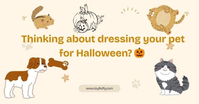 A dog in a Halloween costume, with a pumpkin emoji, suggesting ideas for dressing pets for the holiday