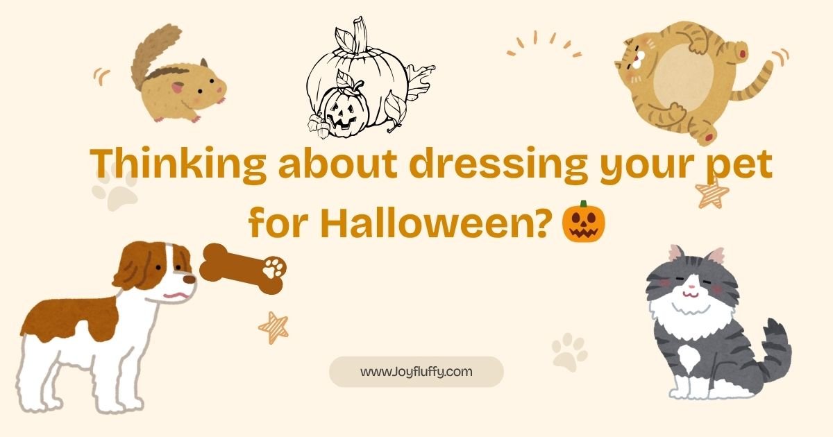 A dog in a Halloween costume, with a pumpkin emoji, suggesting ideas for dressing pets for the holiday