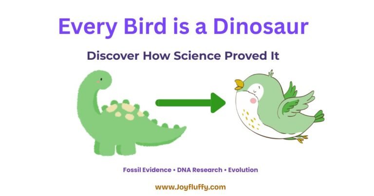 Illustration showing birds as modern dinosaurs, highlighting fossil evidence, DNA research, and evolution concepts.