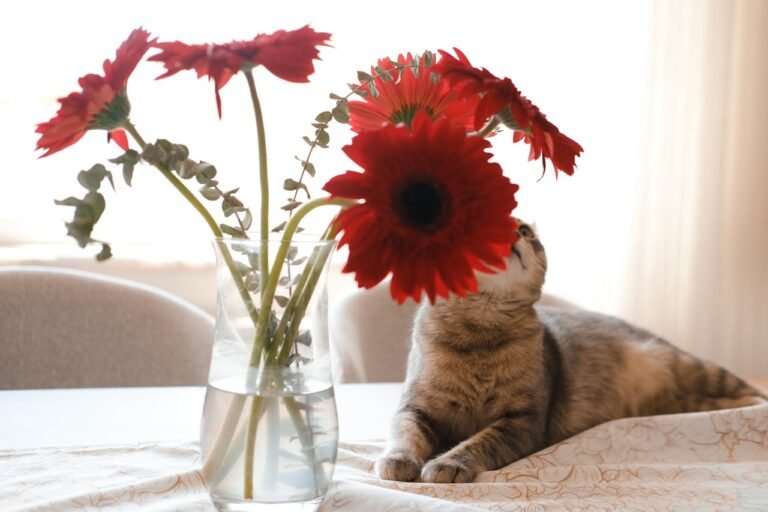 A cat comfortably sitting on a table, showcasing a cozy pet-friendly home environment