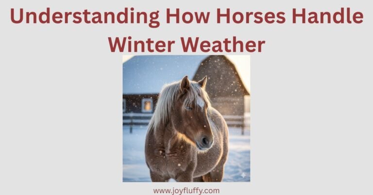 Image illustrating how horses adapt to and manage winter weather conditions effectively.