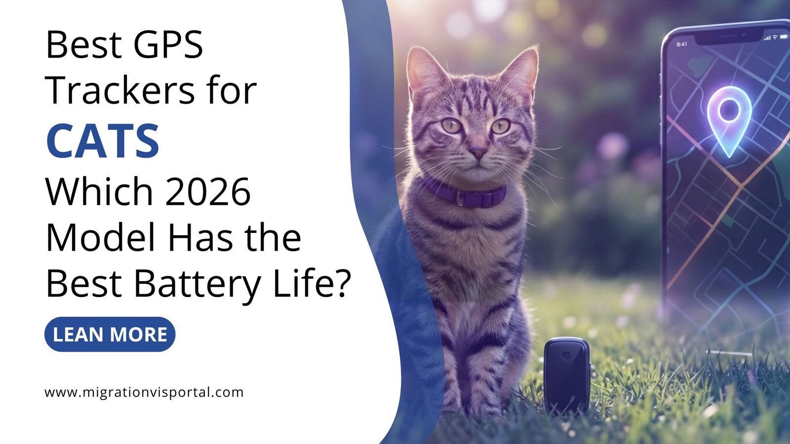 Display of top-rated GPS trackers for cats, highlighting their unique features and usability for pet owners.