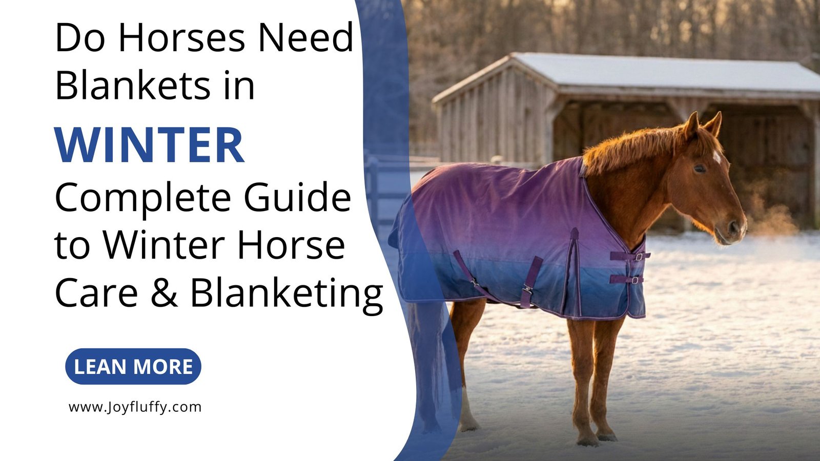 A horse standing in a snowy field, contemplating the need for a blanket during winter weather conditions.