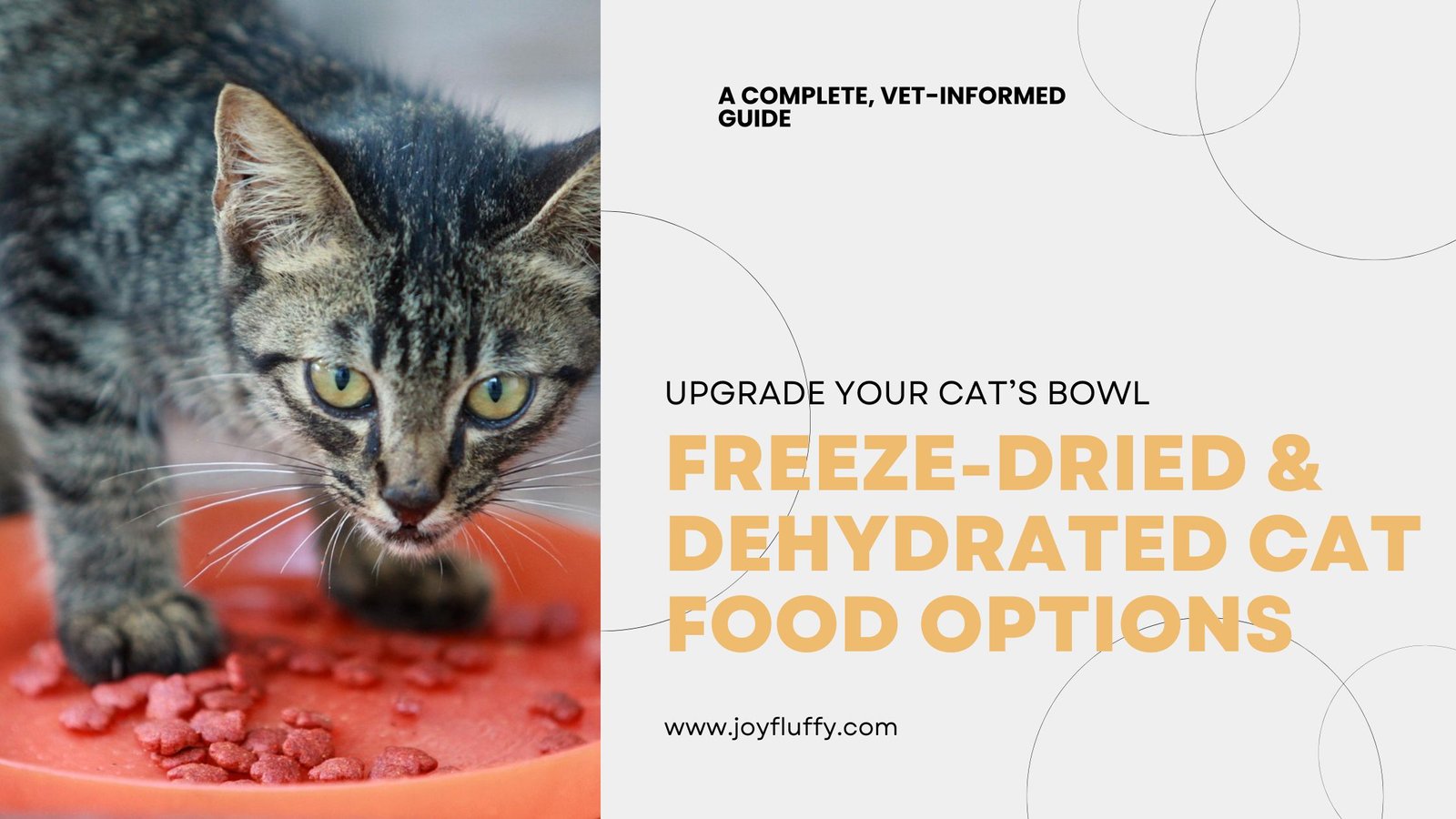 A cat eating from a bowl labeled with freeze-dried and dehydrated cat food options.