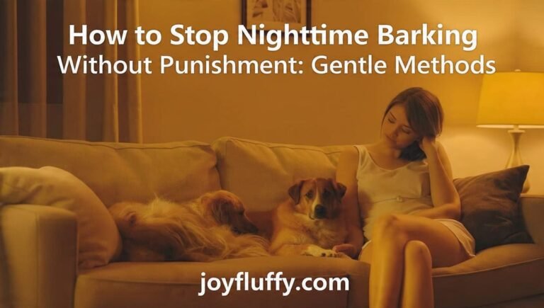 Young woman calming dogs at night using gentle methods to stop nighttime barking without punishment